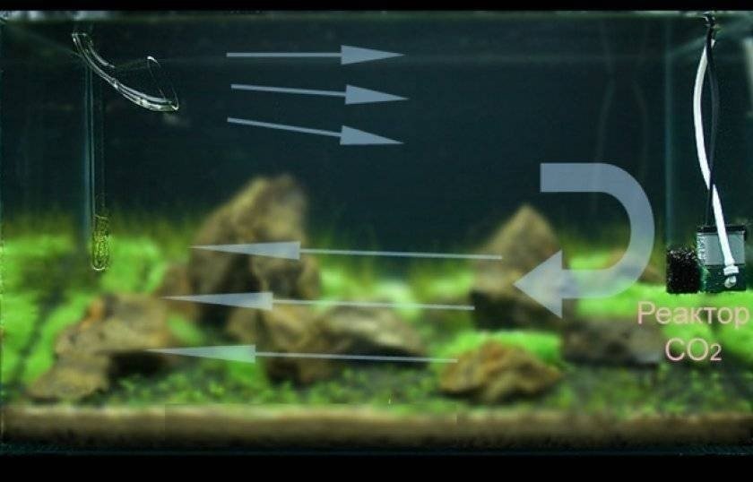 Циркуляция воды в аквариуме по амано