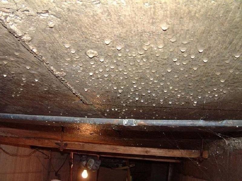 Влажный потолок в подвале