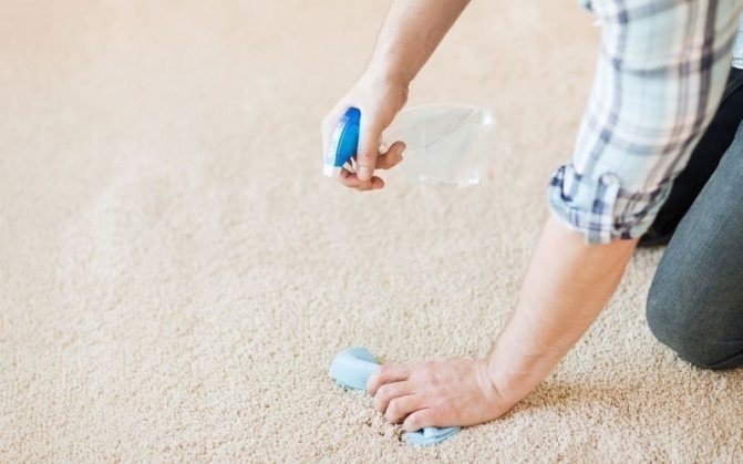 Влажная чистка коврового покрытия