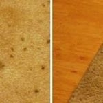 Как почистить ковёр: общие правила, сложные пятна и чистящие средства