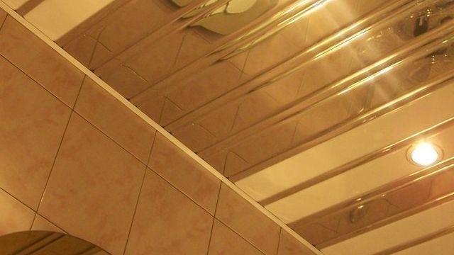 Реечные подвесные потолки в ванну