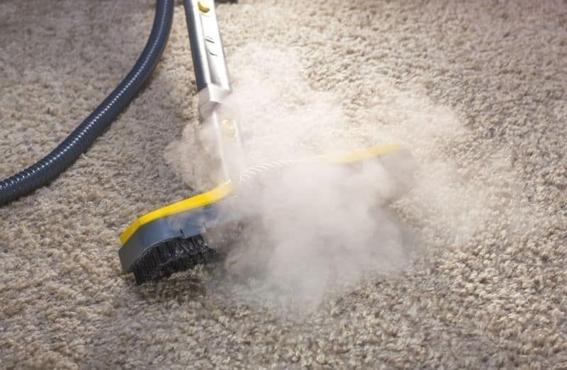 Моющий пылесос lavor carpet cleaner