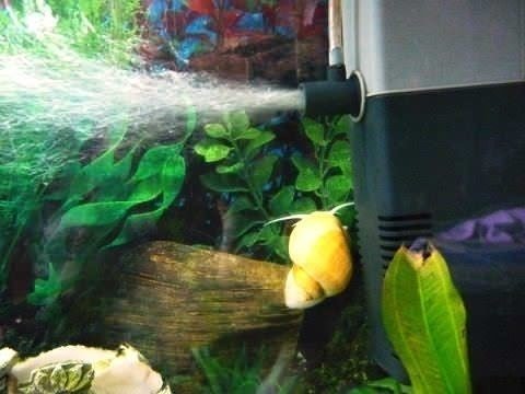 Аэрация сквозь растения в аквариуме