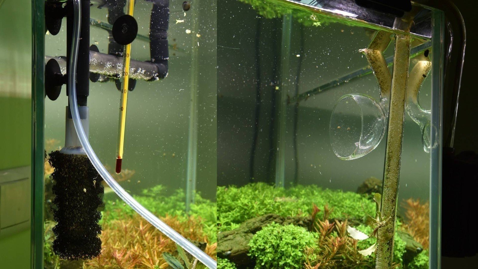 Tetra brillant filter расположение в аквариуме