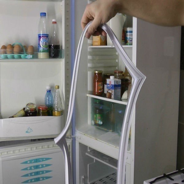 Плесень на резинке холодильника
