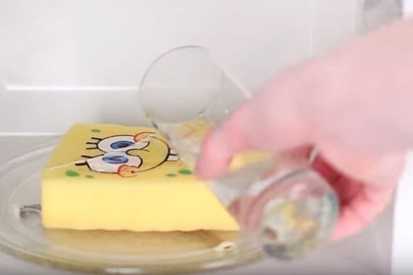 Губки для мытья посуды в морозилке