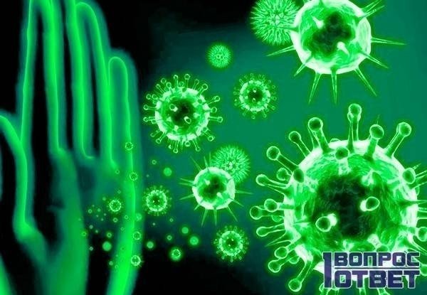 Вирус и бактерия