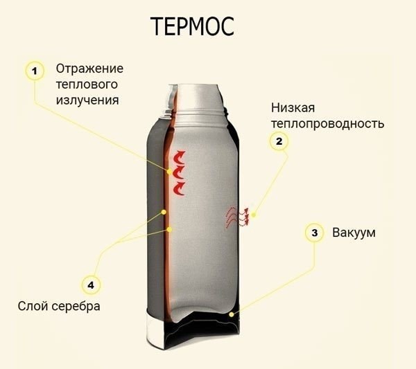 Термос строение принцип действия