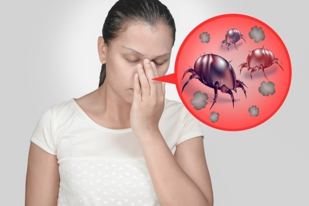 Пылевые клещи аллергия на укус