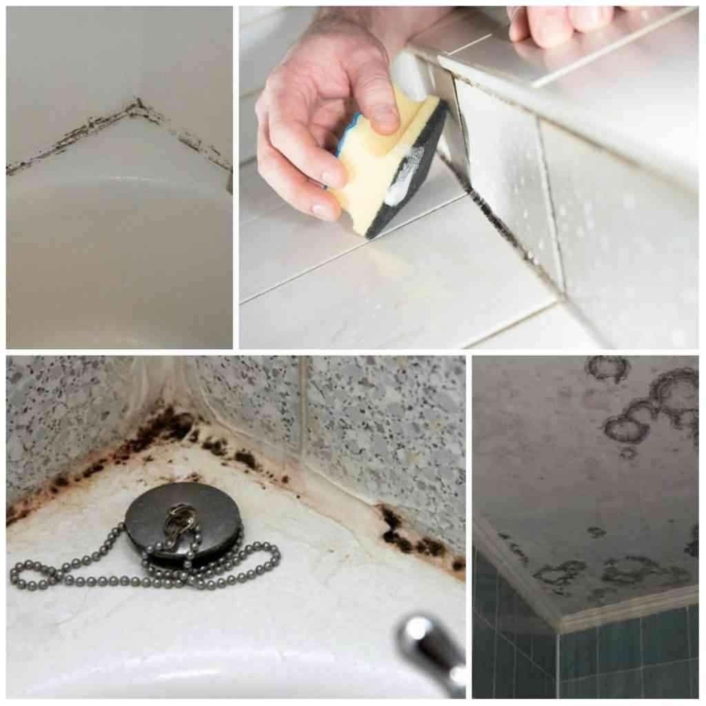 Удалить грибок в ванной в домашних условиях