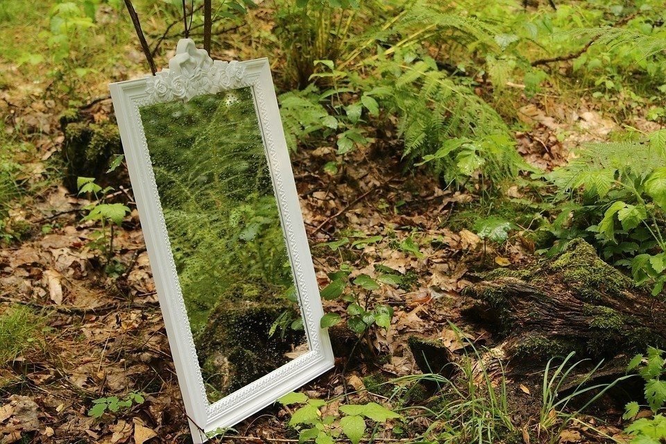 Зеркало в лесу